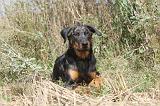 BEAUCERON 104